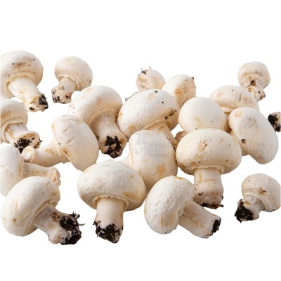 Шампиньоны свежие 500 г - купить в Старых Чуптах